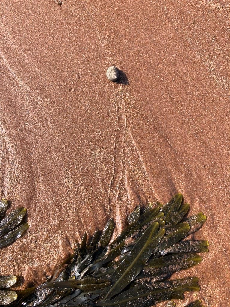 56553723_400436724087838_5305784086722248704_n