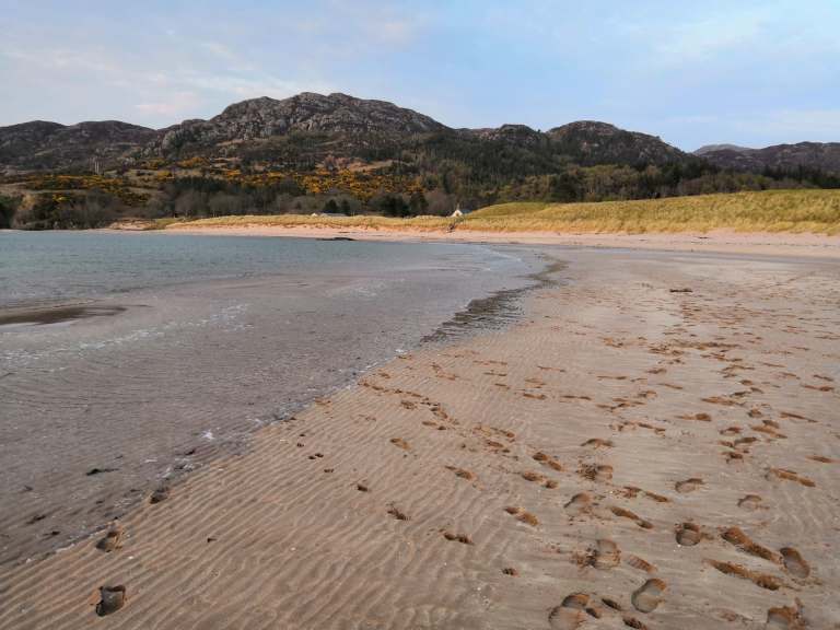 56664699_2567093980027460_7227626147448619008_n