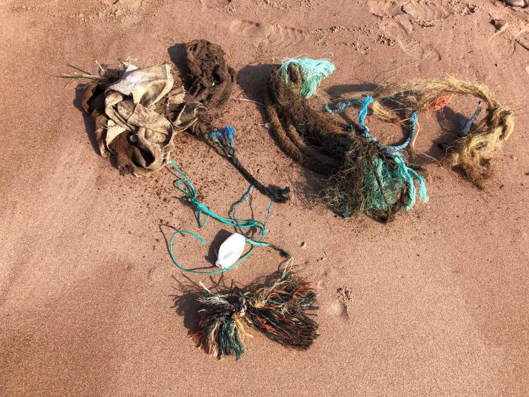 56857725_740803469668771_4128094089834921984_n