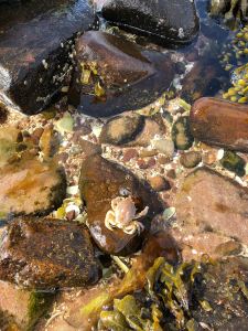 56990396_541710066353611_2317187564030656512_n