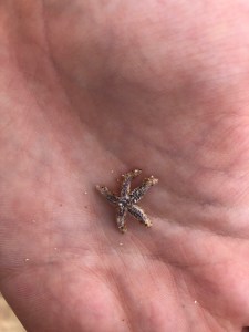 57267541_2079917228724753_6256427174446759936_n